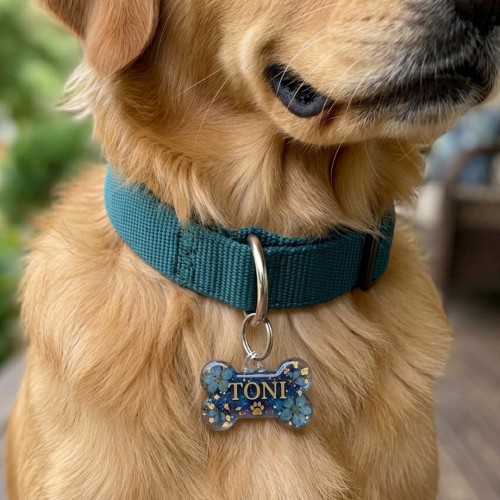 Epoksi Çoklu Tasma Kalıbı Kemik Tasma Kalıbı Köpek Tasma Kalıbı Silikon 4.8x2.8cm Epoksi Çoklu Tasma Kalıbı Kemik Tasma Kalıbı Köpek Tasma Kalıbı Silikon 4.8x2.8cm